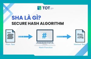 sha là gì