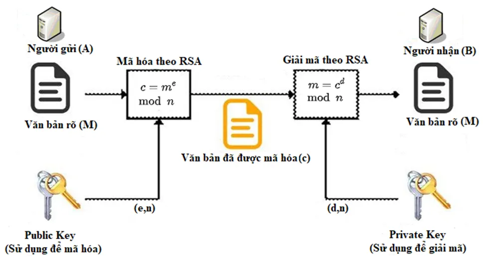 Quá trình mã hóa và giải mã trong RSA