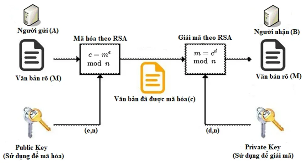 Quá trình mã hóa và giải mã trong RSA