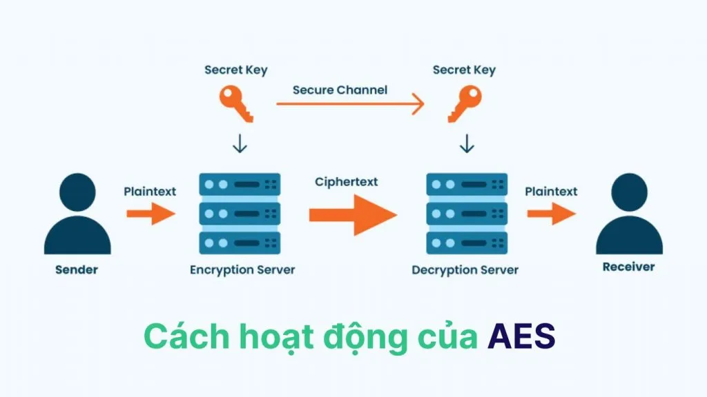 How AES encryption and decryption work