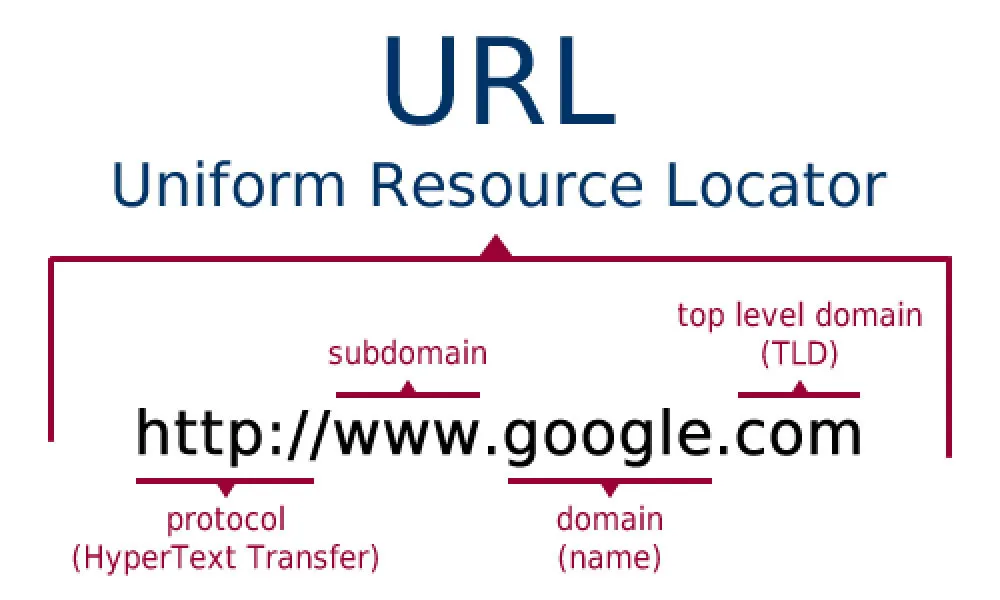 Cấu trúc tên miền website 