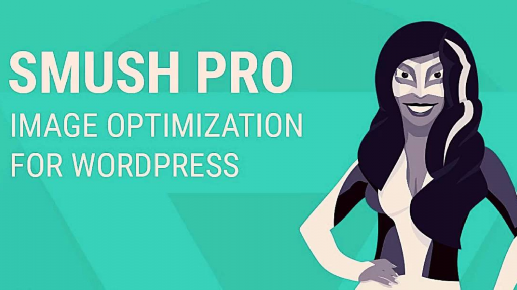 plugin Smush