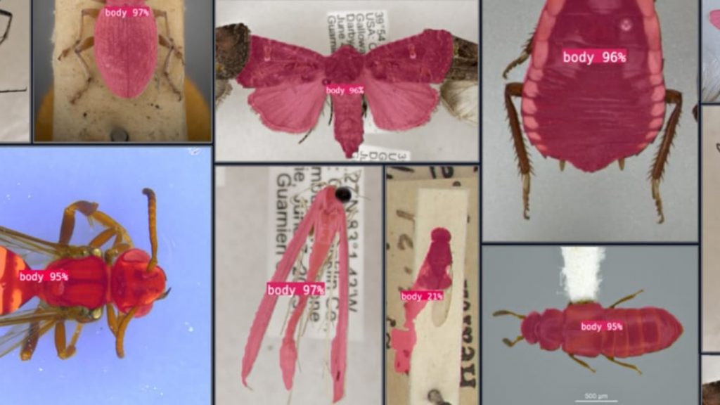 AI nghiên cứu khóa học