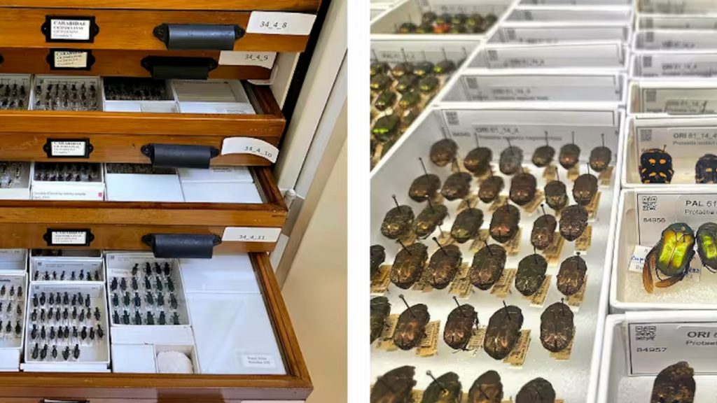 AI nghiên cứu khoa học