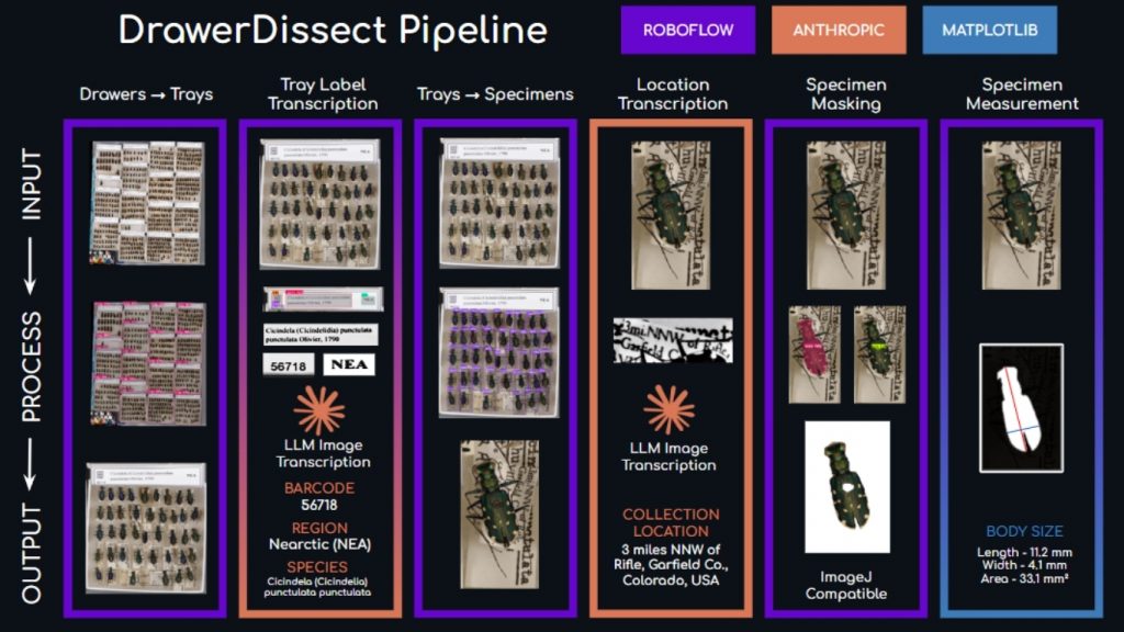 AI Tự động hóa thu thập dữ liệu