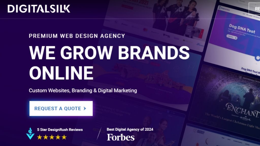 Digital Silk is a top-tier construction web design agency