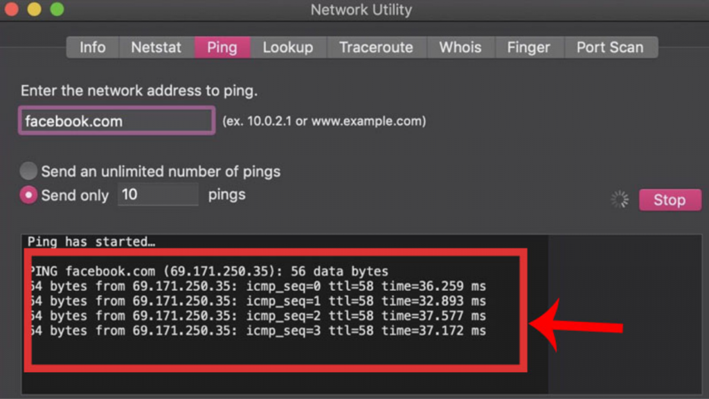 Kiểm tra kết nối máy chủ bằng lệnh ping để khắc phục lỗi web