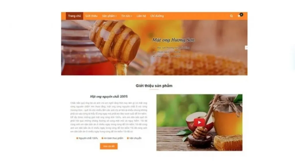 website development