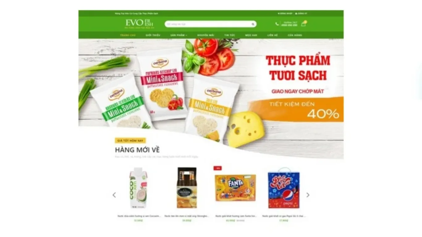 web design company in Ho Chi Minh City