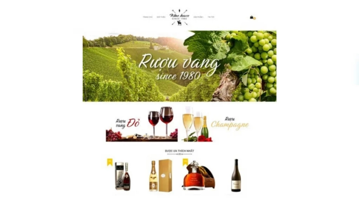 web development agency Vietnam