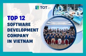 software development company in vietnam