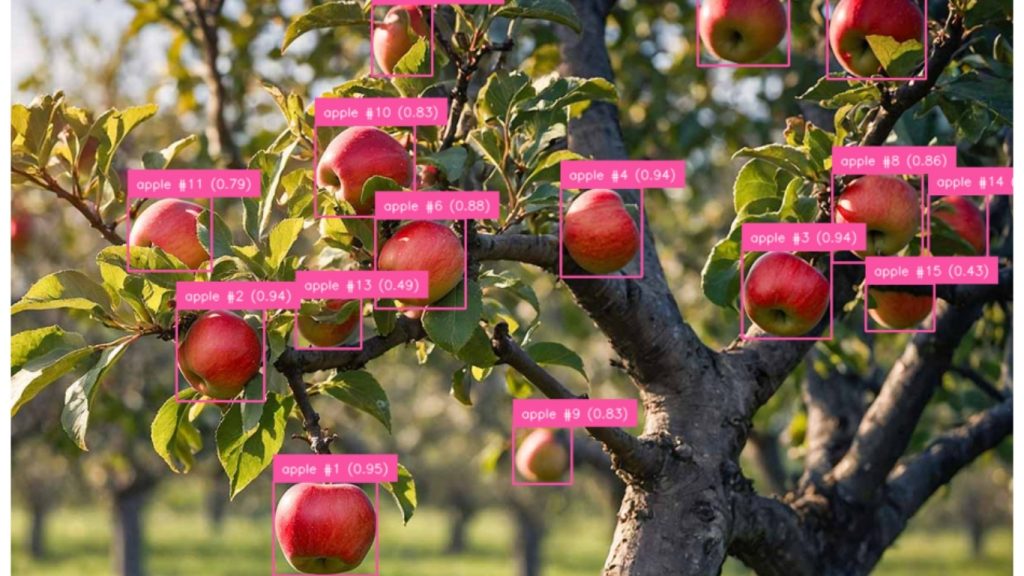 Đếm số lượng quả táo trong một hình ảnh