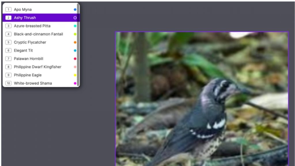 Phân loại đối tượng trong học máy