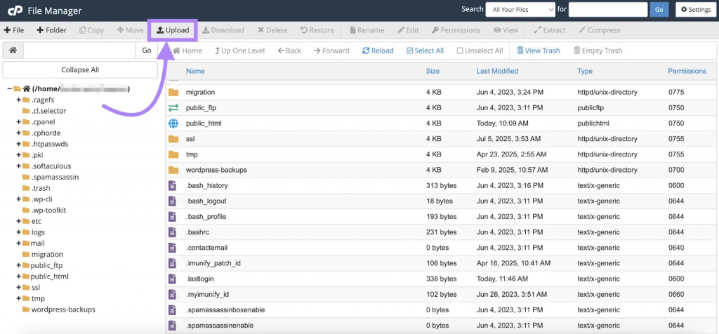Tải tệp llms.txt lên cPanel