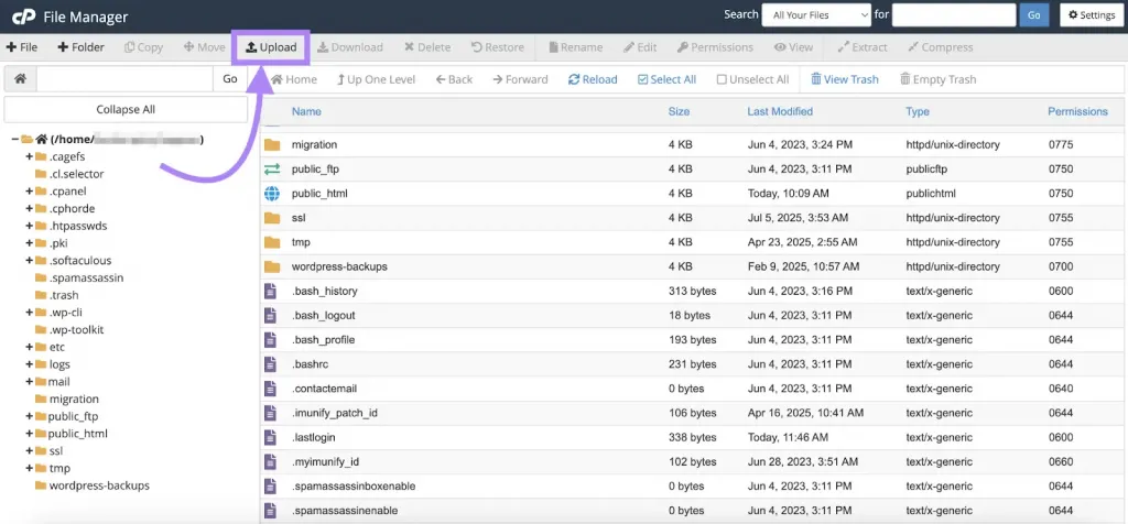 Tải tệp llms.txt lên cPanel