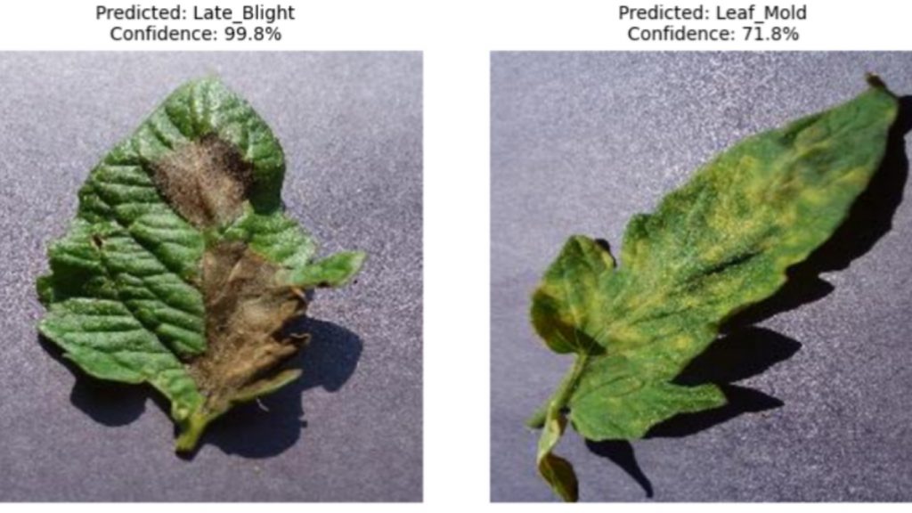 Ví dụ về nhãn phân loại