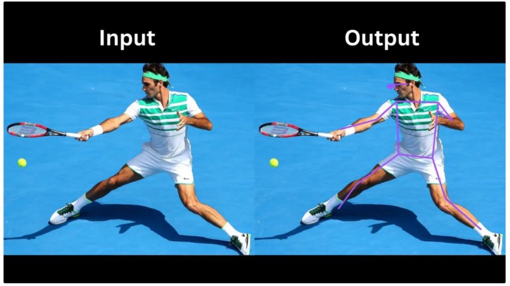 Vẽ minh họa các bộ phận cơ thể của vận động viên tennis