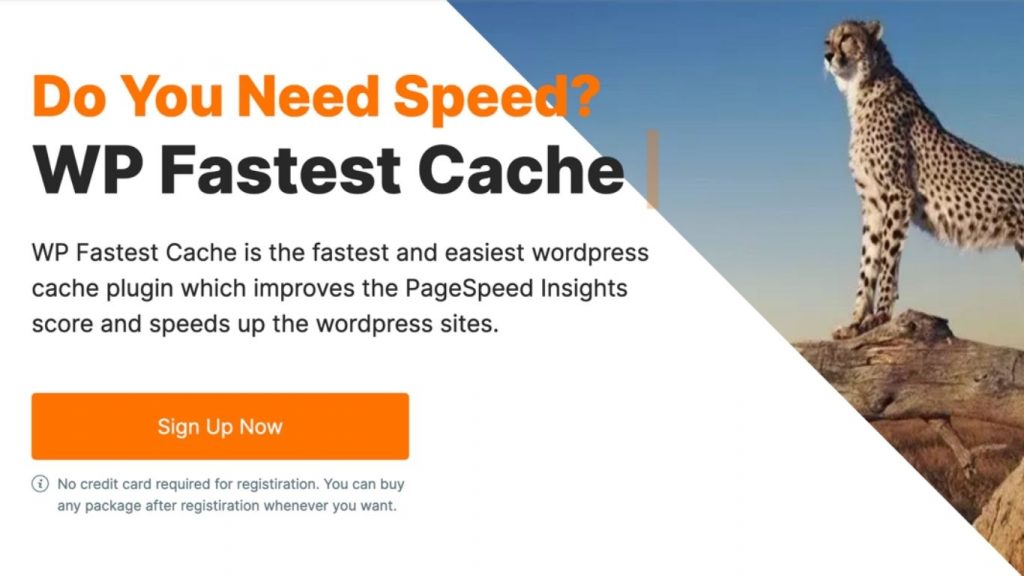 WP Fastest Cache