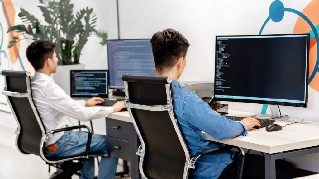 công ty phần mềm là gì