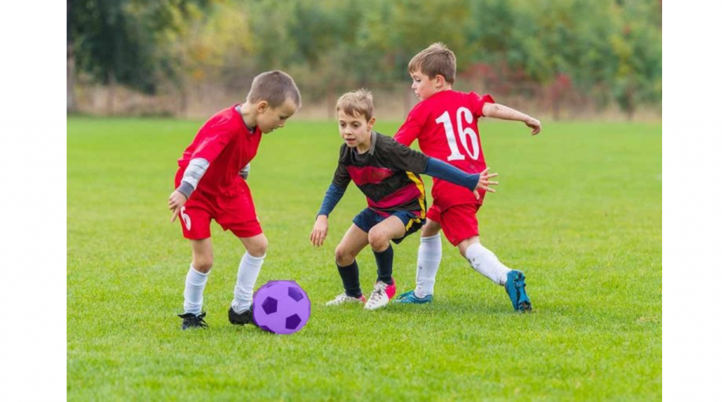 Kết quả đầu ra từ quy trình phân đoạn đối tượng