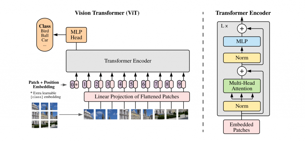 Kiến trúc ViT