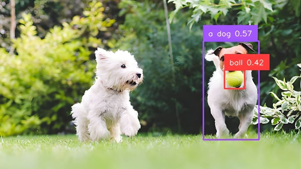 Phrase Grounding sử dụng Grounding DINO