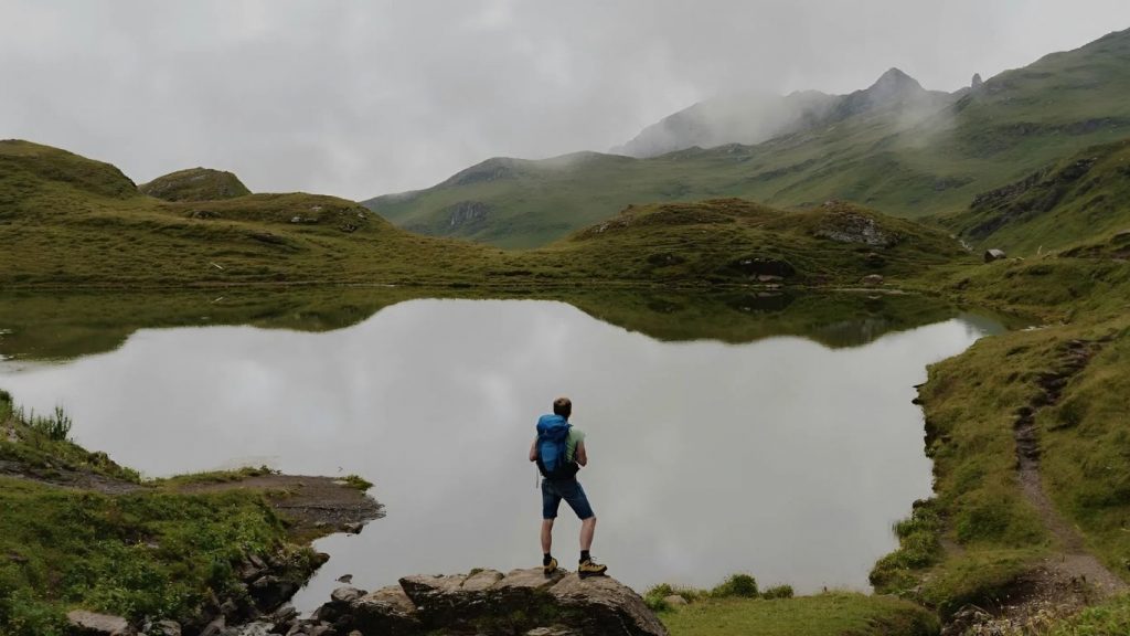 hình ảnh ví dụ sử dụng trong đoạn code tận dụng các ví dụ