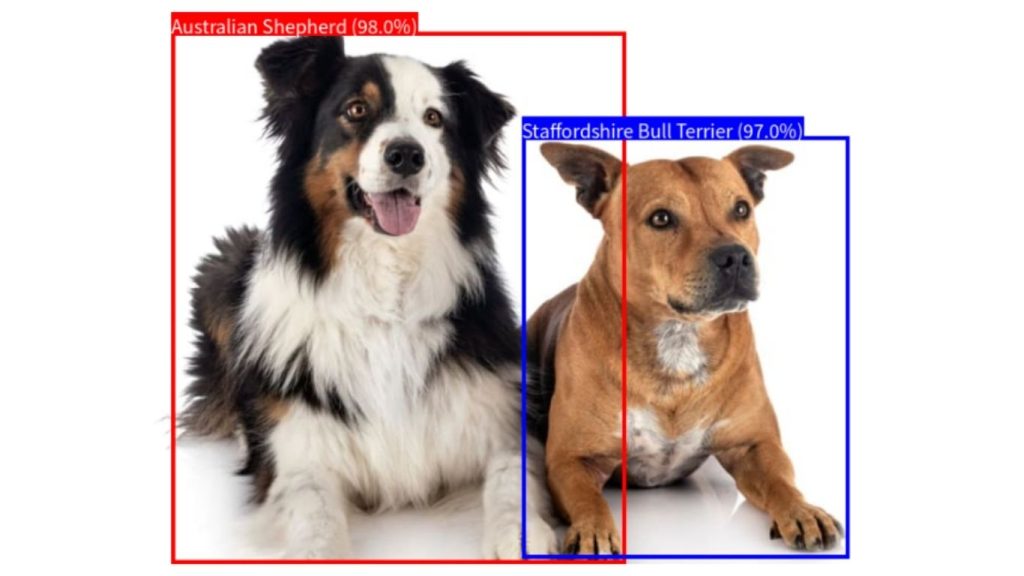 Hệ thống Gemini xác định vị trí của chó trong hình ảnh và nhận diện giống chó của chúng 