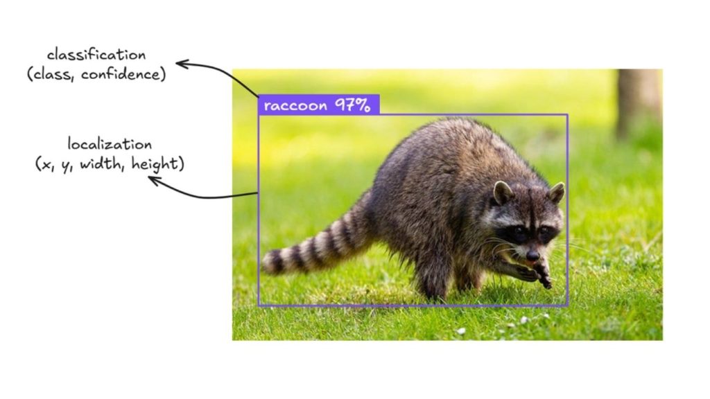 Ảnh kết quả đầu ra từ phát hiện đối tượng 