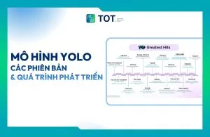 Các mô hình yolo