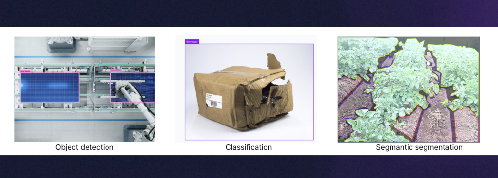 Ảnh minh họa phân loại cây cà chua