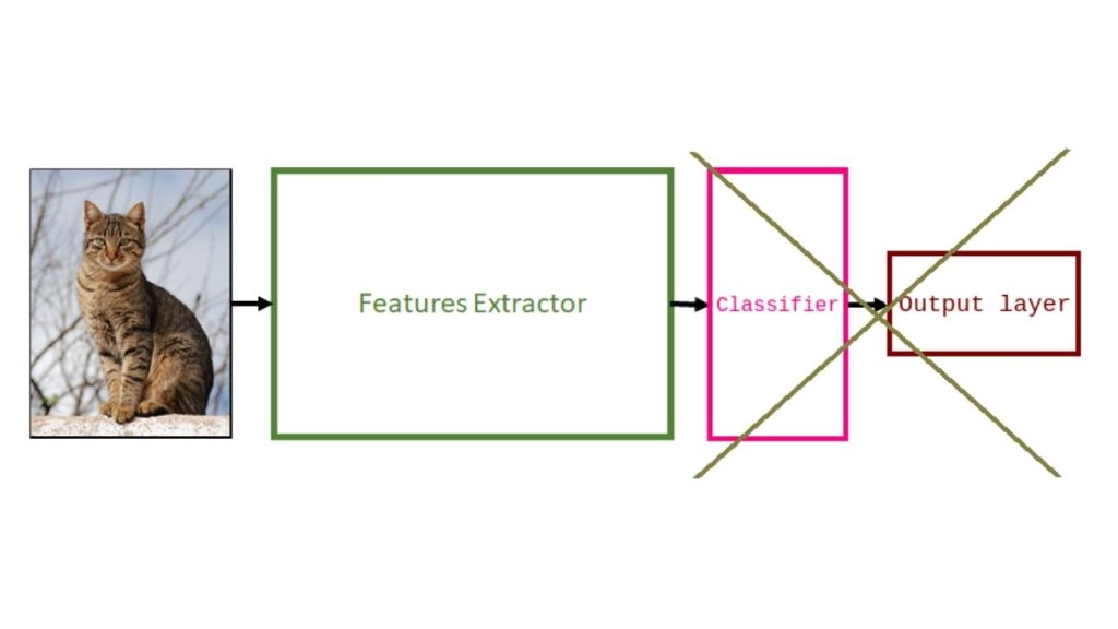 Ảnh minh họa mô hình Transfer Learning đã loại bỏ lớp phân loại và lớp đầu ra 