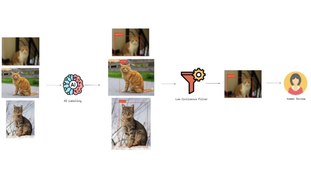 Sơ đồ quy trình làm việc của Human-in-the-Loop trong việc điều phối các dự đoán AI có độ tin cậy thấp