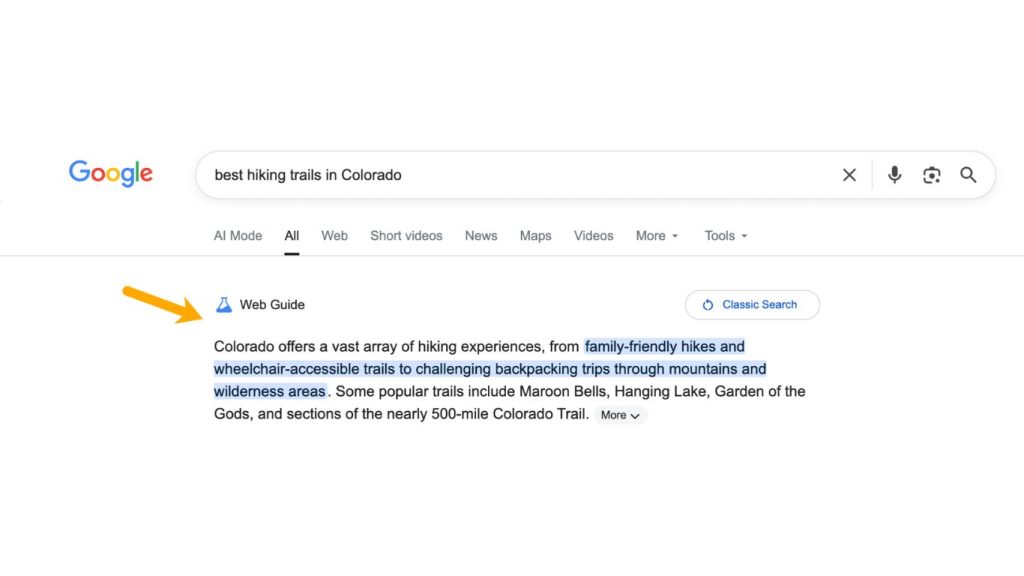 Google Web Guide AI SERP