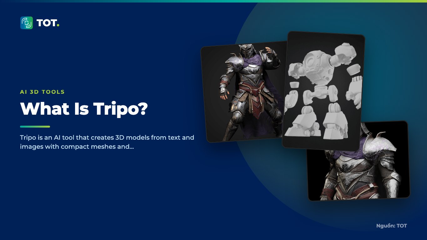 What Is Tripo