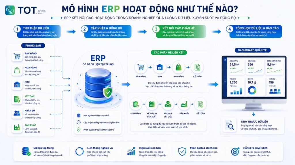 Understanding how the ERP model works