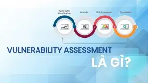 Vulnerability assessment là gì