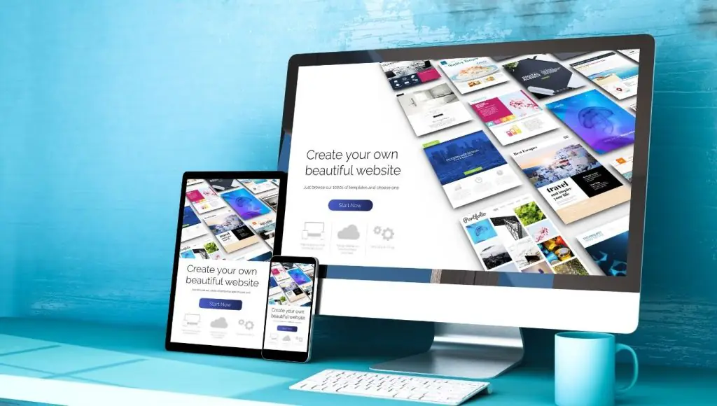 Themes và Plugins WordPress
