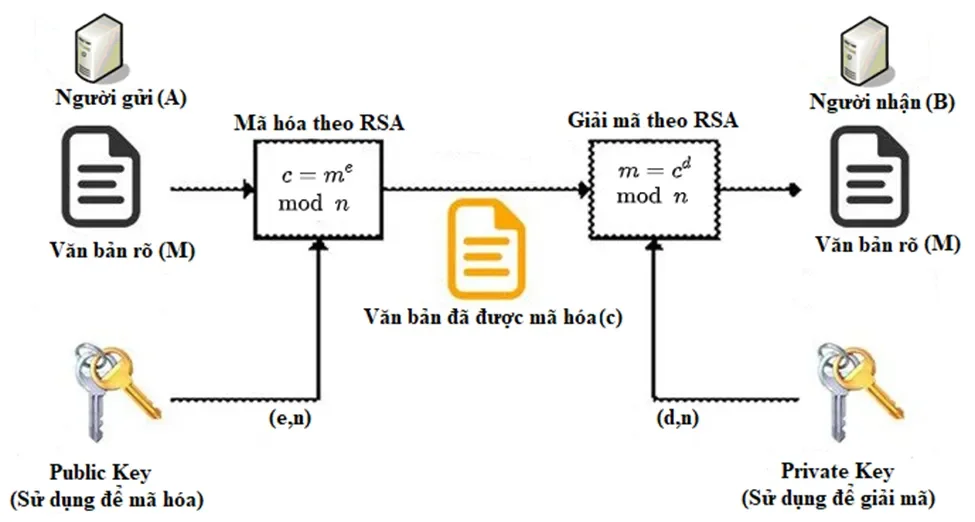 Quá trình mã hóa và giải mã trong RSA