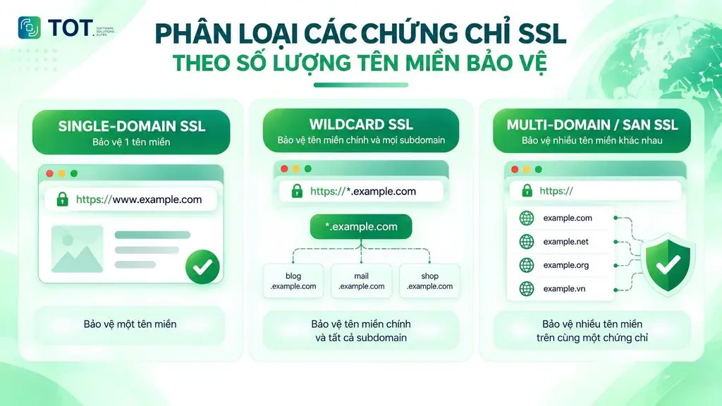 ssl la gi