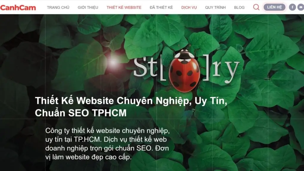 Thiết kế web Hà Nội Cánh Cam