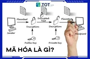 Mã hóa là gì