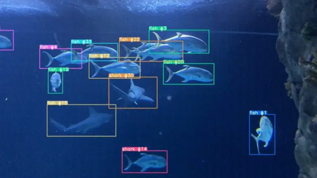 công cụ theo dõi đối tượng