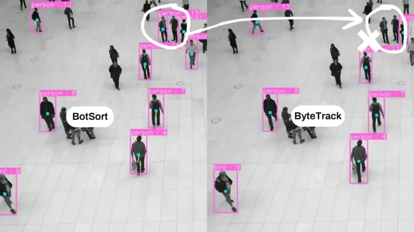 So sánh độ chính xác của công cụ theo dõi đối tượng  BoT-SORT và  ByteTrack 