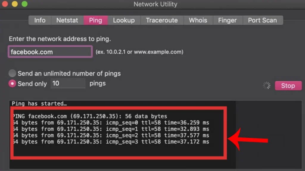 Kiểm tra kết nối máy chủ bằng lệnh ping để khắc phục lỗi web