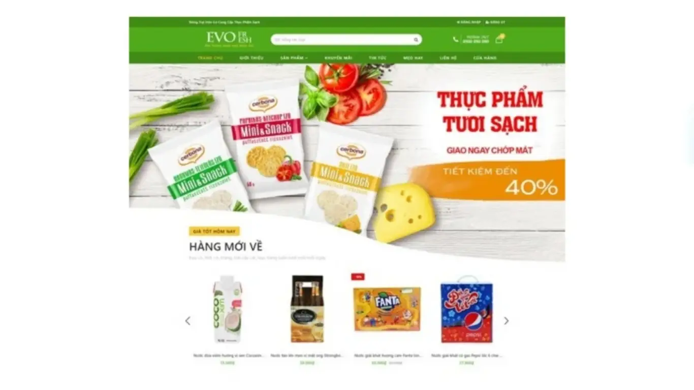 web design company in Ho Chi Minh City​