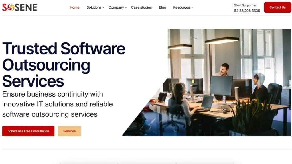 Sonsene Software provides end-to-end custom development