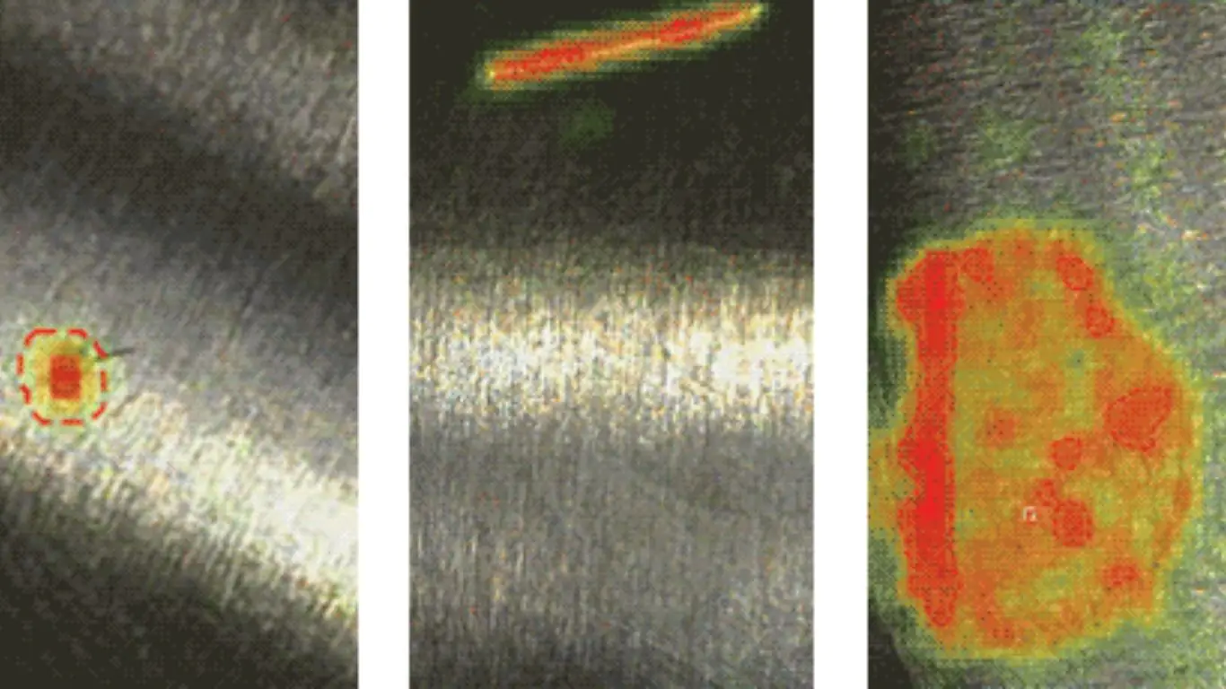 Phân loại khuyết tật.