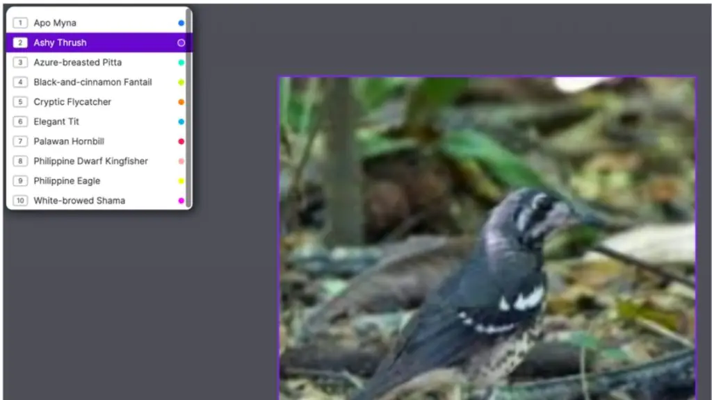 Phân loại đối tượng trong học máy