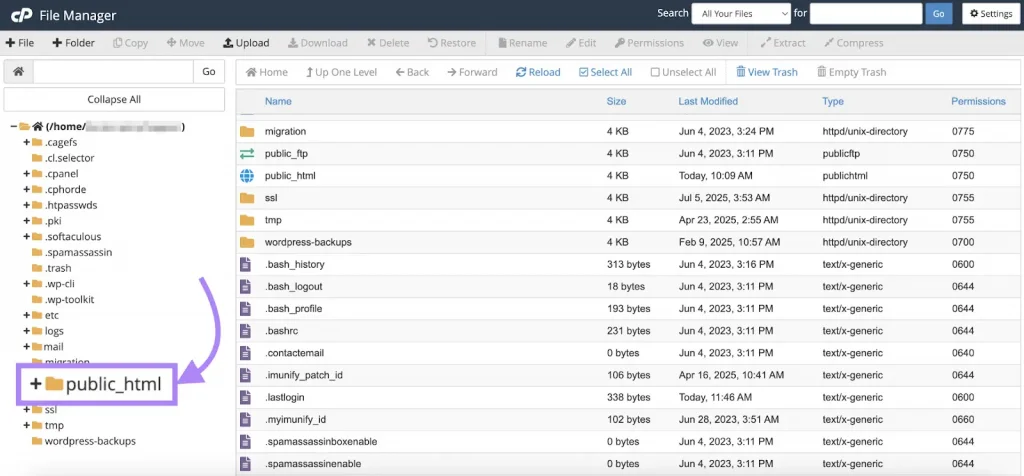 tệp llms.txt trong cPanel